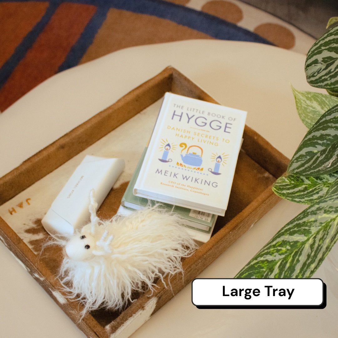 Large Tray