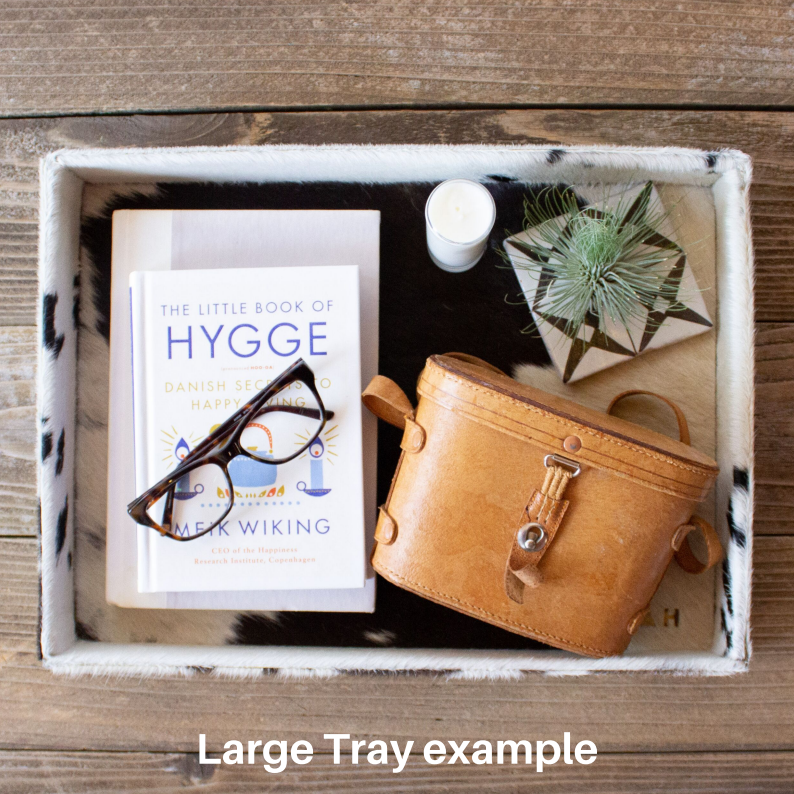 Large Tray No. 10